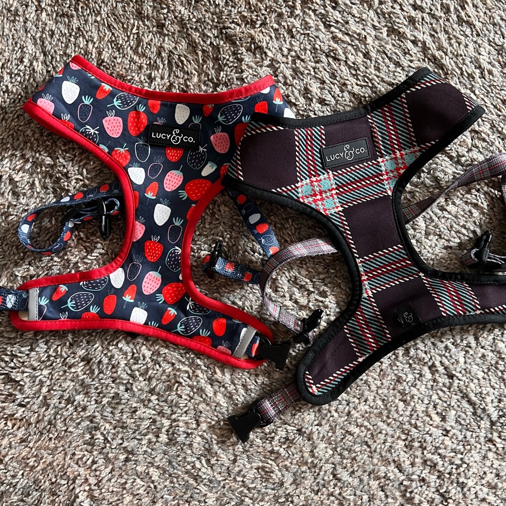 Lucy&Co Reversible Dog Harnesses